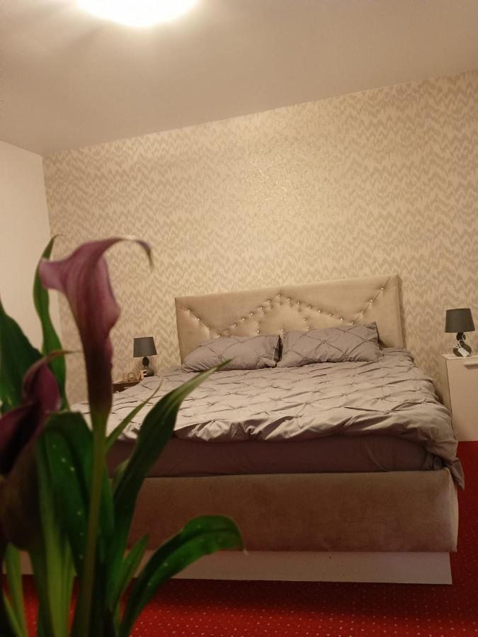 Appartement Karina House à Braşov Extérieur photo