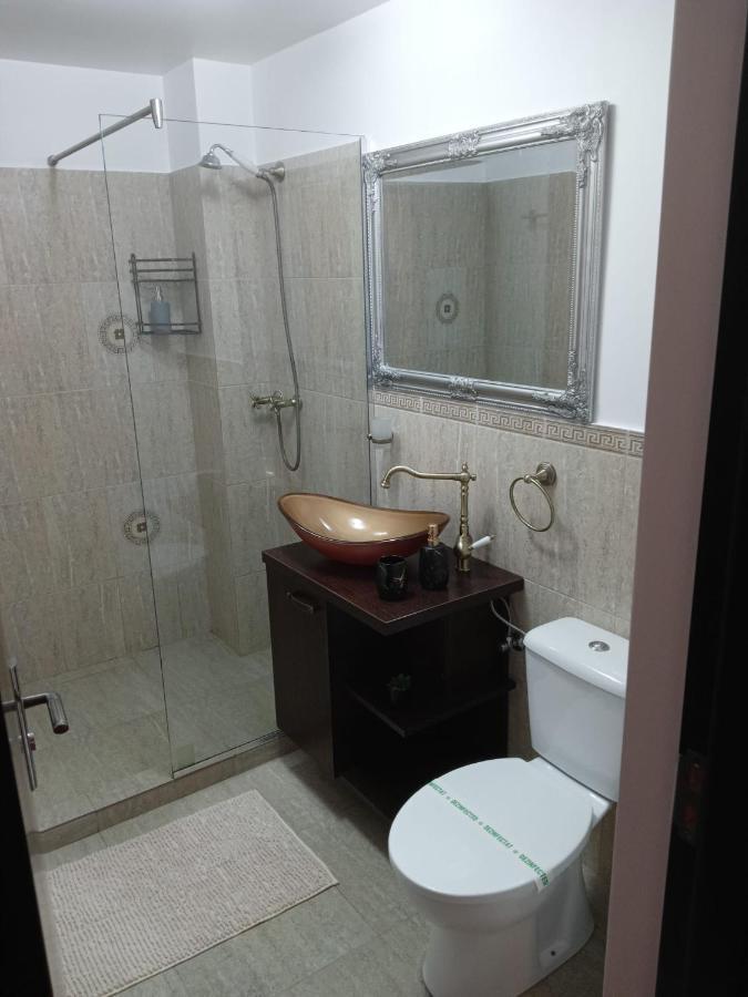 Appartement Karina House à Braşov Extérieur photo