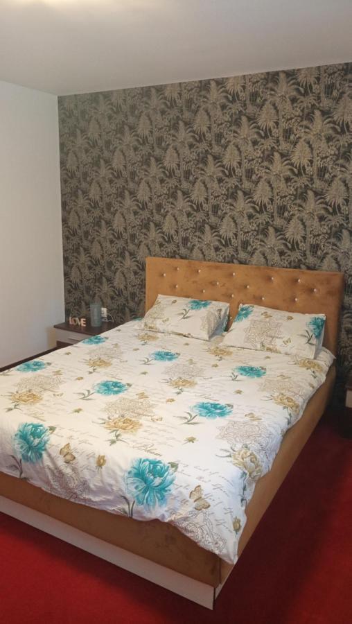 Appartement Karina House à Braşov Extérieur photo