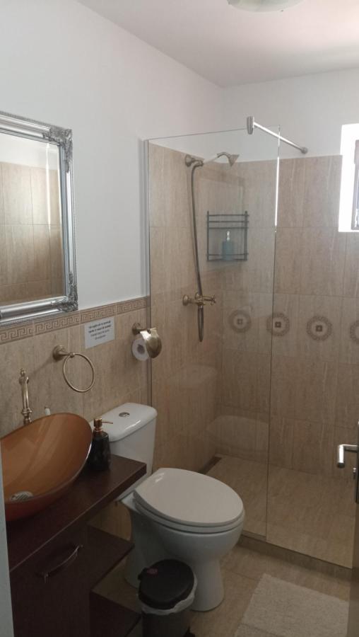 Appartement Karina House à Braşov Extérieur photo